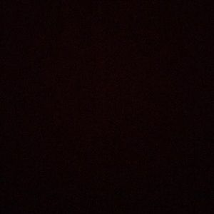 Meet your Posher, Sebastian